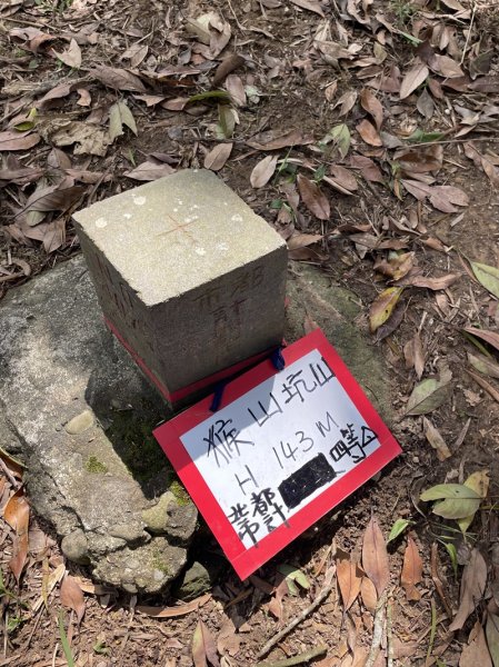 魚猴13連峰2757344