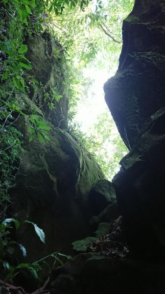 金龜岩、猴洞步道277072