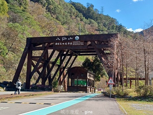 【台中和平】森林步道悠閒走。 八仙山森林遊樂區步道群2784590
