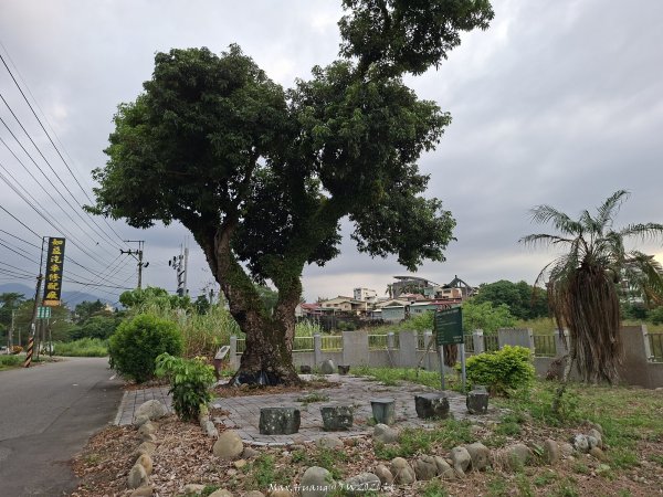 《南投》河岸賞鳥｜竹山下坪生態步道O繞202610173136774