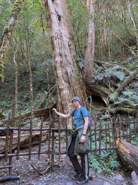 中級山-司馬庫斯2888940