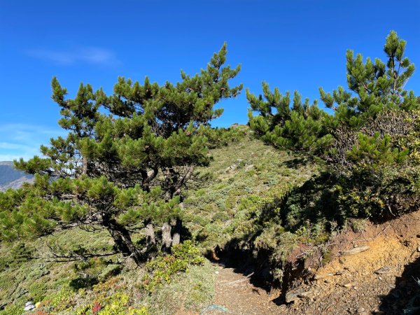 向陽日出，嘉明湖光2872765