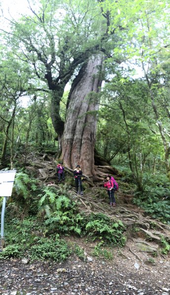 宜蘭 四季 加羅湖633837