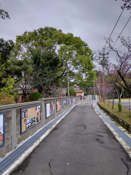 大溪齋明寺古道828726