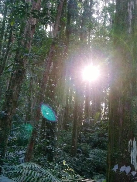 馬武督山，蓮包山，鴛鴦谷瀑布連走671666