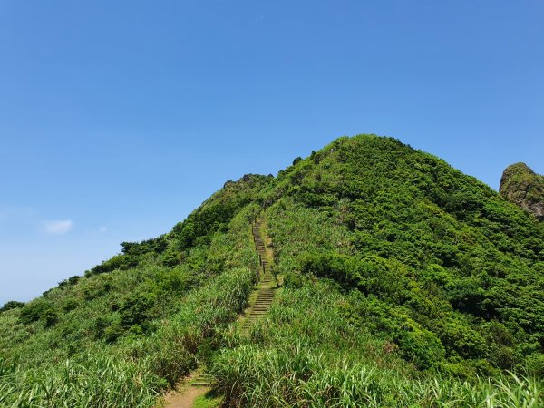 半平山登山步道1368743