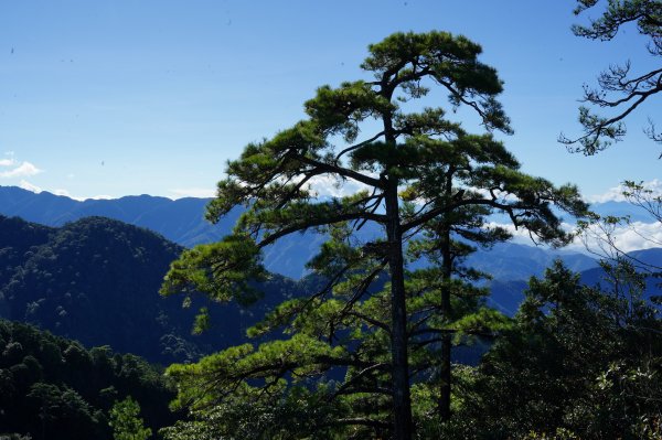 台中 和平 鳶嘴山2926884
