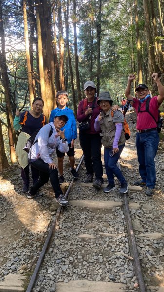 阿里山特富野古道1180074