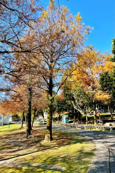 20220116_宜蘭中央公園、冬山河親水公園、林美盤石步道、羅東梅花湖步道1583967