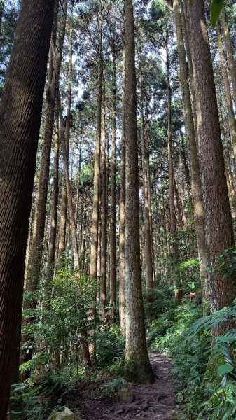 加里山 2025 12/282971710