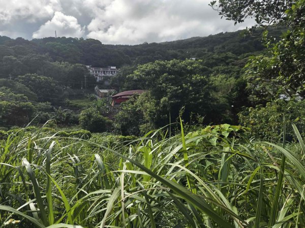 20260806金坑溪步道-頂草埔尾山-三界壇聖德宮-法鼓山-拾浪咖啡3101450