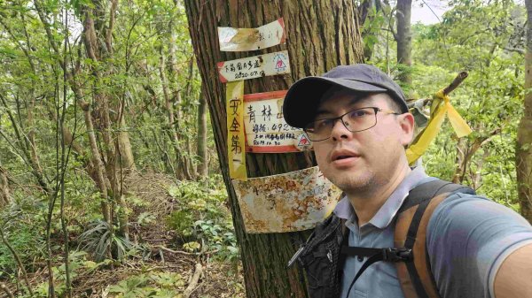 20250503藍鵲峰-平溪子山-畝畝山-青林山2777588