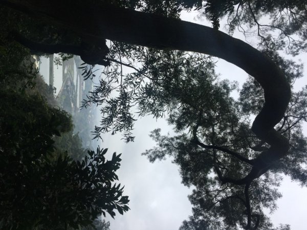 38溪洲山2729732
