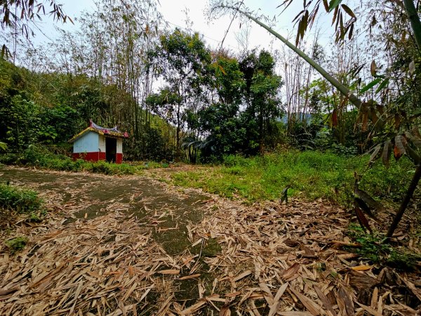 西阿里關山-小百岳#66-高雄市甲仙區2750008