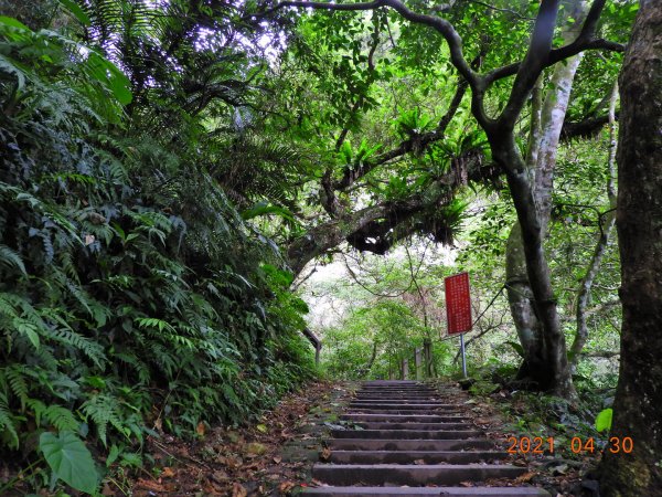 花蓮 撒固兒步道1368089