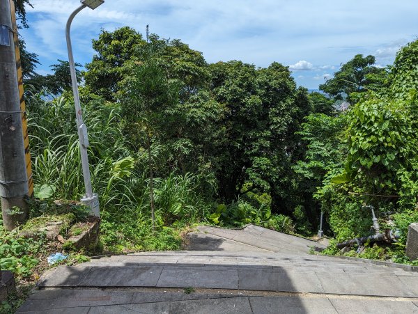 2023-08-26 臺北大縱走第七段2792807