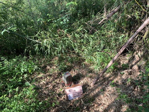 20250830高雄東崗山2877034