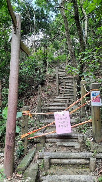 《台中》步道三剩一｜台中新田2號步道202108151436739