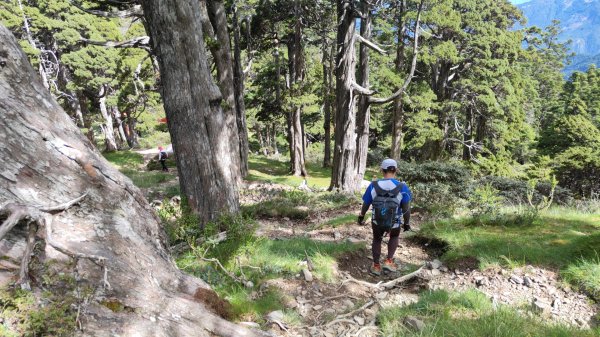 雪山主東北甘木林山下翠池2025年6月22日2823859