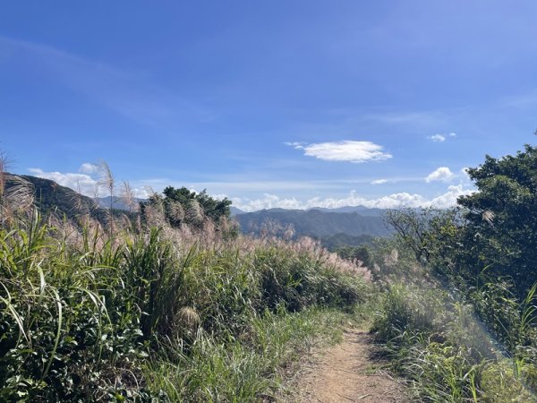 千島湖周邊步道2936027