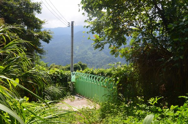 大山背山 - 大崎棟步道1065092