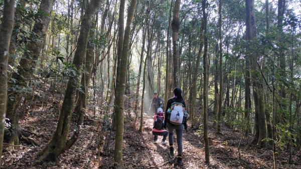 惠蓀大O聖逆走二部曲  2024年12月29日2679239