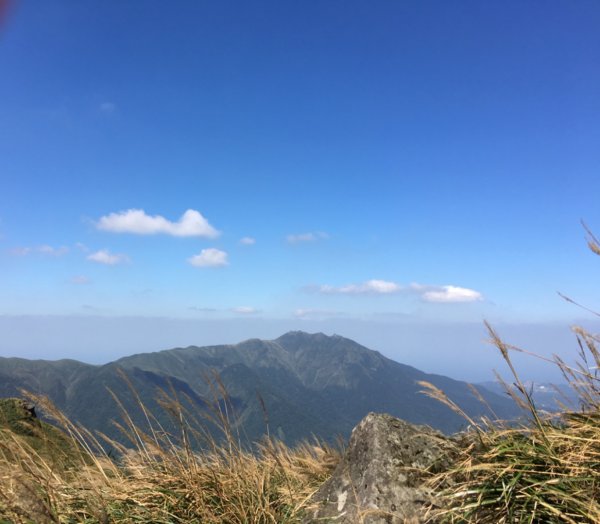 七星山主峰小白岳這個時節欣賞芒花季445500