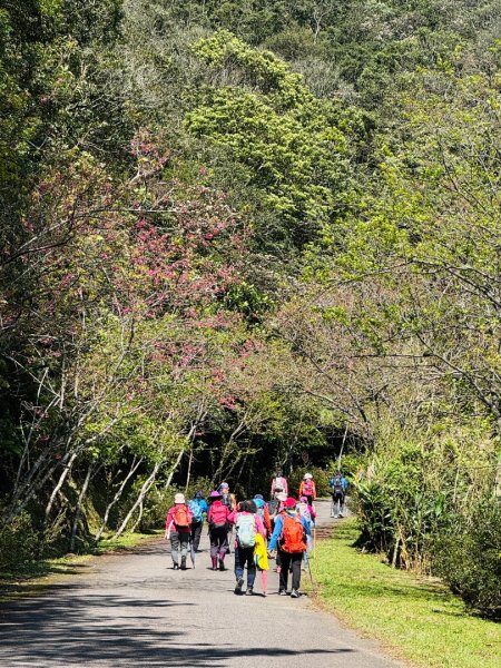 二格山走南邦寮山經草湳福德宮回二格公園3005492
