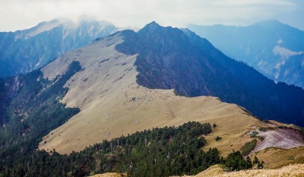 奇萊主山/北峰/路過小奇萊杜鵑盛開959313