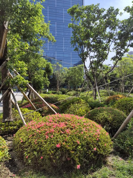 宏匯瑞光廣場、大港墘公園、基隆廟口夜市、基隆港高空煙火秀2796410