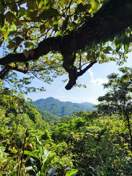 淡蘭北2+1逆走二刷2772786