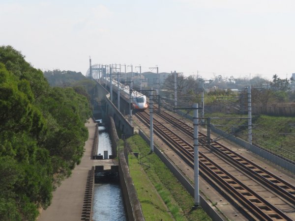 水流東桐花步道1900242