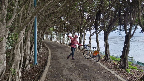 (姨婆趴趴走)第三十五集:新竹17公里海岸線自行車道騎乘自行車之旅2390932