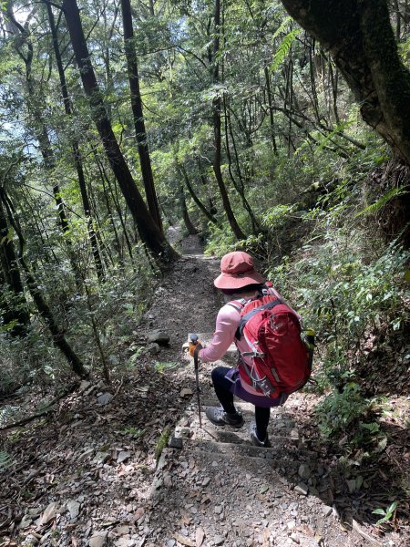 八仙駐在所 上 東八仙 接 八仙山 O繞 2023/07/082216885