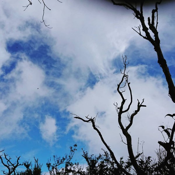 加里山202007051026592