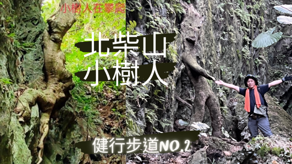 【高雄】北柴山小樹人｜健行步道No.2｜Little Tree Man of North Shoushan National Nature Park｜Hiking Trail No.2【No.4】