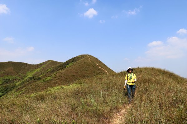HK - 鐵坑，蛇嶺1268077