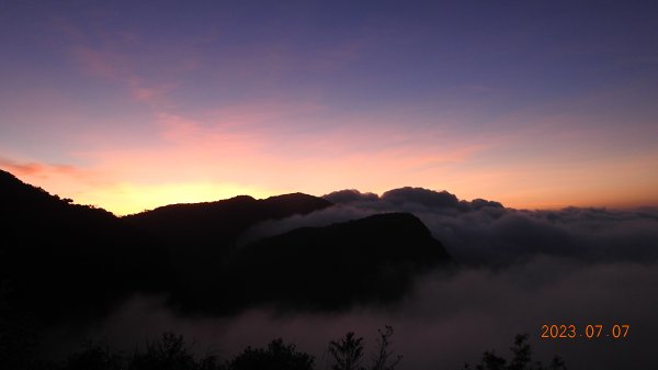 新店四十份/翡翠水庫壩頂月光/晨曦/日出雲海&石碇二格山雲海 7/7 & 13孓遺植物 #雙扇蕨2207731