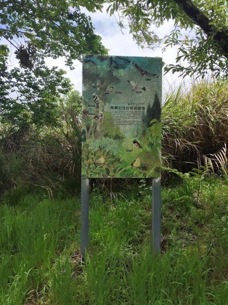 三角峰3055425