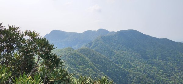 【中級山縱走】志繼山，東眼山，拉卡山，卡外山，東滿步道2742587