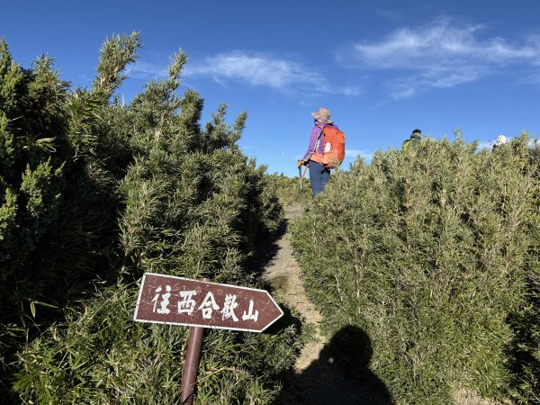 合歡北西北 202509212898797