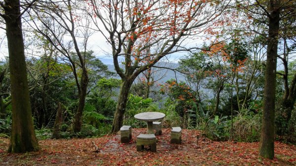 大尖山~四分尾山~鵠鵠崙1219122