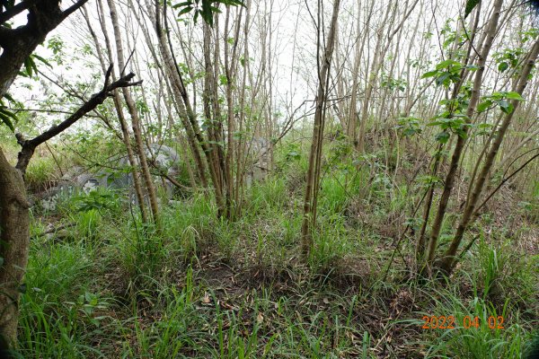 臺南 關廟 大潭山1663574