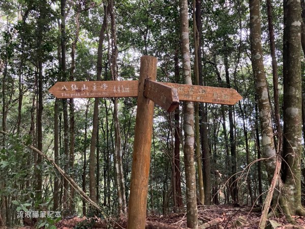 【谷關七雄】八仙山主峰步道2894860