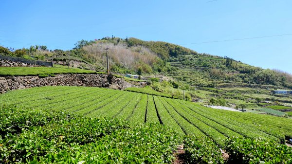 二延平步道。貿易戰2764952