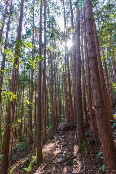 谷關七雄_八仙山2679618