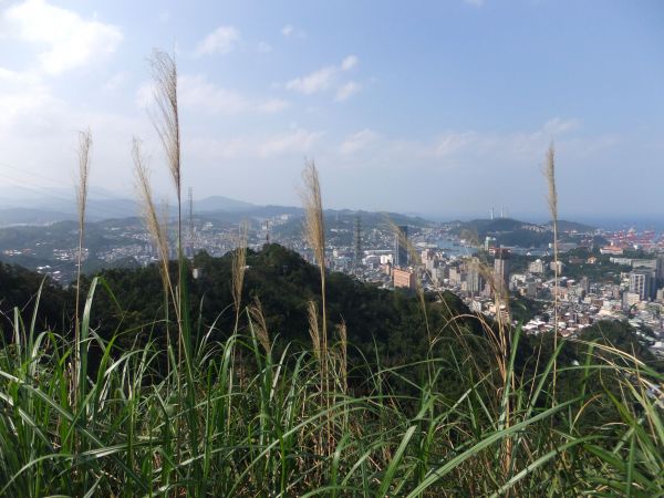 紅淡山+星空草原204650