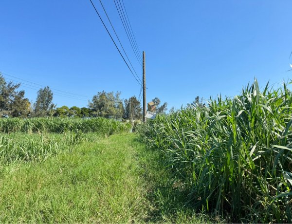鐵砧山(小百岳#38)與桂花泉登山步道2934522