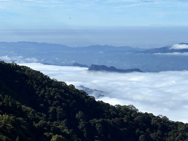 騰龍山-橫龍古道-橫龍山 202411232652993