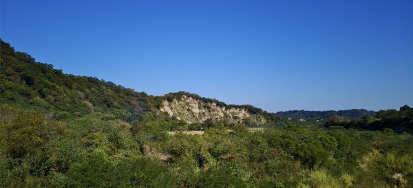 龍峎頂+肚兜角步道 O型-2026/01/04